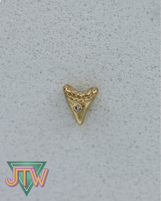 One Off: Shark tooth w/ Gem